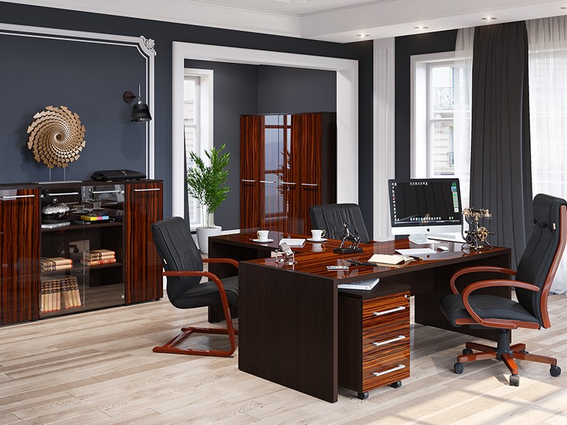 Кабинет руководителя. Часть 1: разновидности