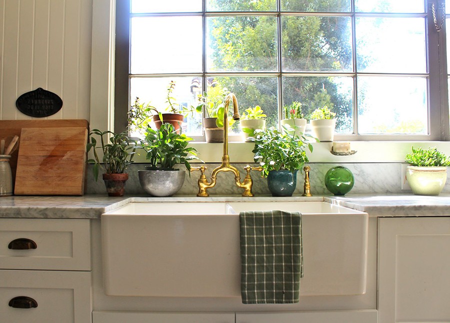 Растения в интерьере: кухня, ванная