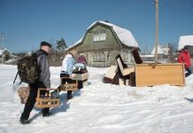 В России из-за пандемии начался бум на деревянные загородные дома