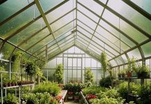 Теплицы из поликарбоната: особенности, преимущества и рекомендации по выбору