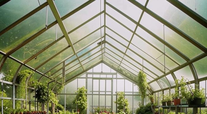 Теплицы из поликарбоната: особенности, преимущества и рекомендации по выбору