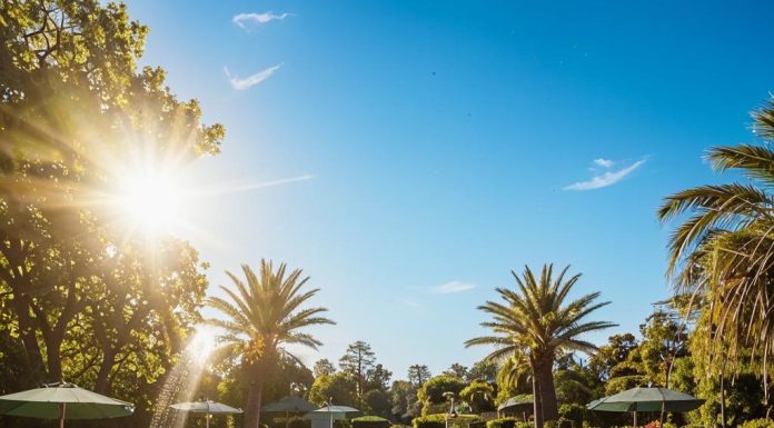 Для чего нужен тепловой насос для бассейна?