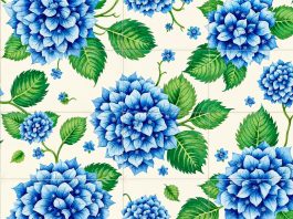 Как ухаживать за саженцами гортензий и роз?