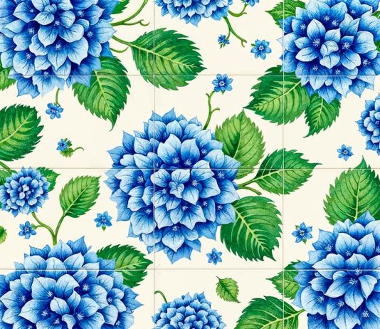 Как ухаживать за саженцами гортензий и роз?