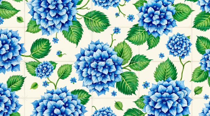 Как ухаживать за саженцами гортензий и роз?