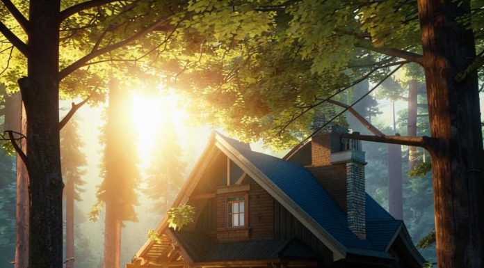 Преимущества жизни в доме возле леса