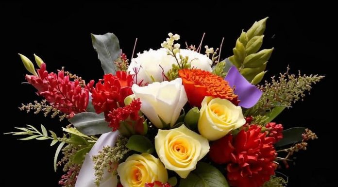 Живые цветы — идеальный подарок на праздник