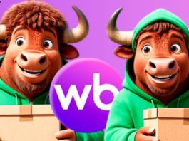 Фулфилмент Wildberries: как работает складская логистика маркетплейса