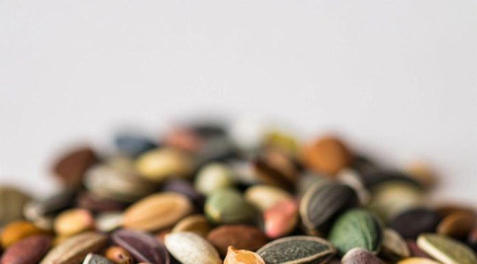 Как правильно хранить семена зимой?