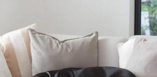 Диван и домашние животные: как сохранить мебель чистой, если в доме кошка или собака