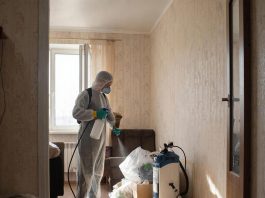 Обработка от кожеедов: методы борьбы и профилактика