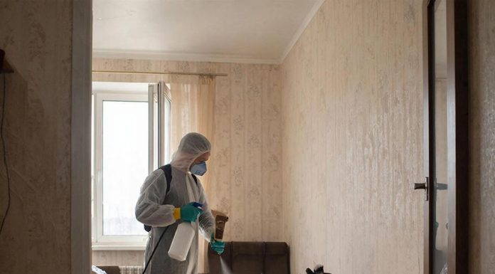 Обработка от кожеедов: методы борьбы и профилактика