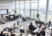 Лизинг как способ быстрого запуска нового направления бизнеса