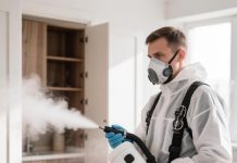 Профессиональное истребление тараканов: почему бытовые методы бессильны и как работают специалисты