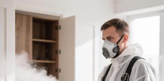 Профессиональное истребление тараканов: почему бытовые методы бессильны и как работают специалисты