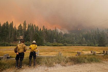 Бежавшие от пожара американцы устроили пробку на дороге