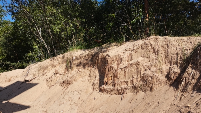 Благими намерениями: жители Сестрорецка воспротивились благоустройству от экс-депутата