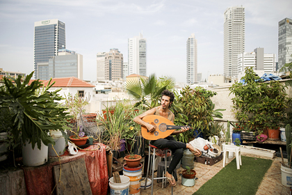 Британцам предложили спасти планету с помощью растений на крышах