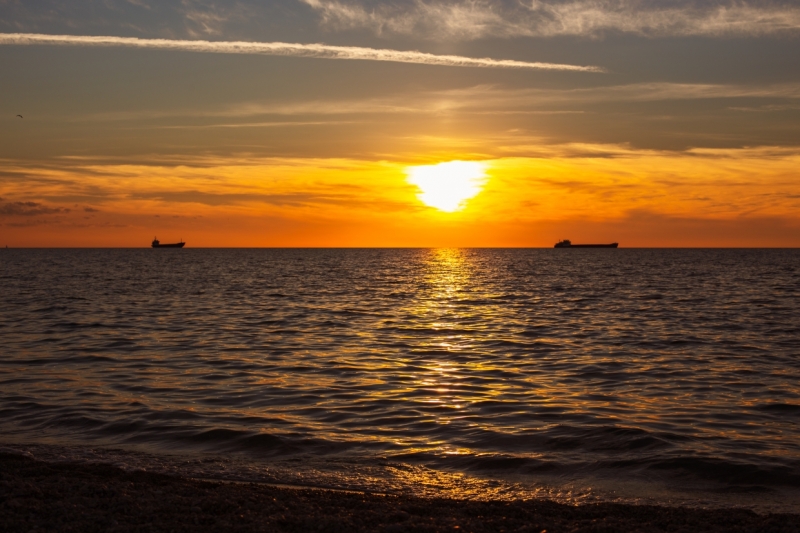 Черное море окрасилось в красный цвет