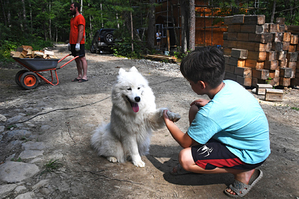 Десяткам тысяч россиян раздали землю на Дальнем Востоке