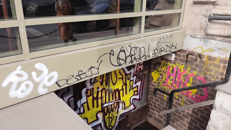 Добрались и до Ахматовой: петербуржцы возмутились «творениями» хулиганов с баллончиками