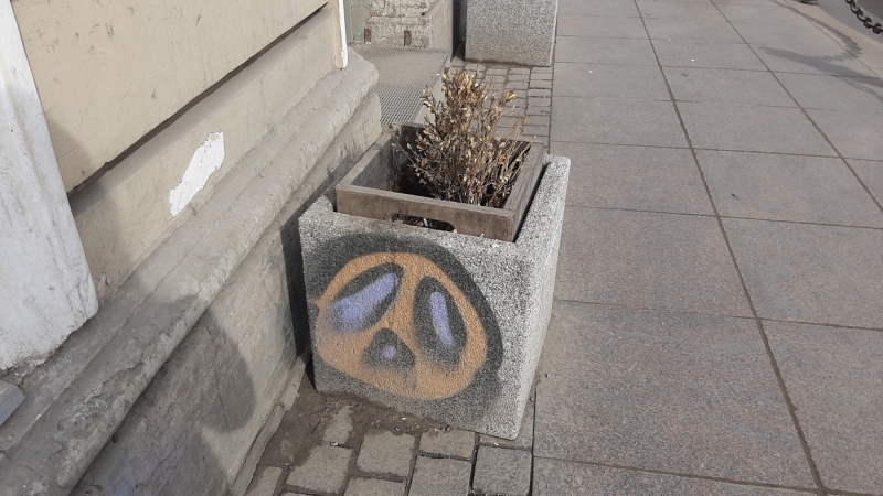 Добрались и до Ахматовой: петербуржцы возмутились «творениями» хулиганов с баллончиками