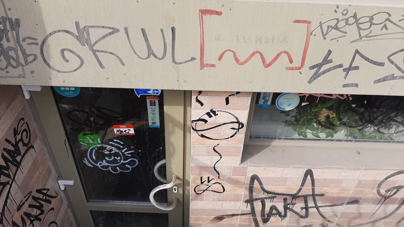 Добрались и до Ахматовой: петербуржцы возмутились «творениями» хулиганов с баллончиками