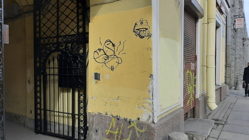 Добрались и до Ахматовой: петербуржцы возмутились «творениями» хулиганов с баллончиками