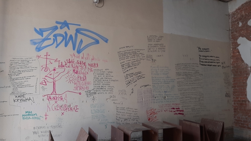 Добрались и до Ахматовой: петербуржцы возмутились «творениями» хулиганов с баллончиками