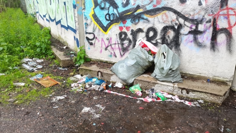 Два заброшенных здания в Удельном парке отремонтируют до конца года