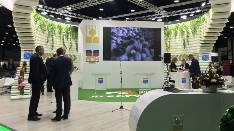 Эффективное обращение с биоотходами животноводства обсудили на выставке «Агрорусь»