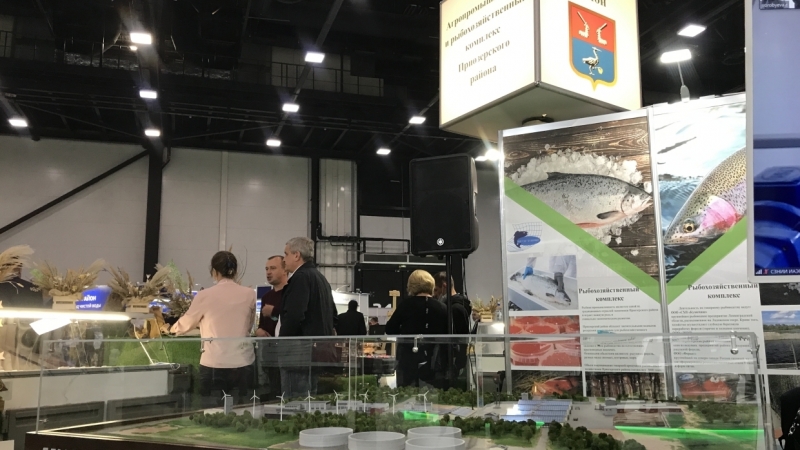 Эффективное обращение с биоотходами животноводства обсудили на выставке «Агрорусь»