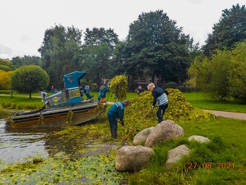 Экологи и местные жители очистили пруд на Учительской улице