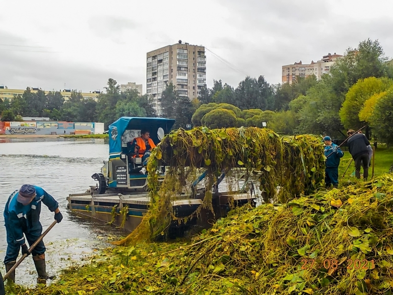 Экологи и местные жители очистили пруд на Учительской улице
