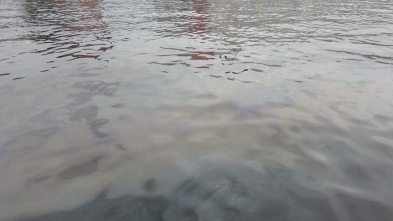 Экологи убрали пятна нефти из акватории Большой Невы и в районе Гребного канала