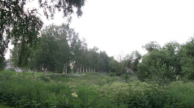 Еще одно нападение произошло в Полежаевском парке Петербурга