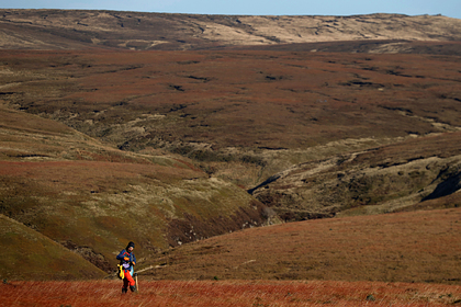 Европейская страна обяжет крупнейшие компании спасать планету