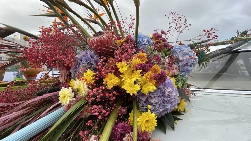 Фестиваль цветов подарил пасмурному Петербургу яркие краски и аромат лета