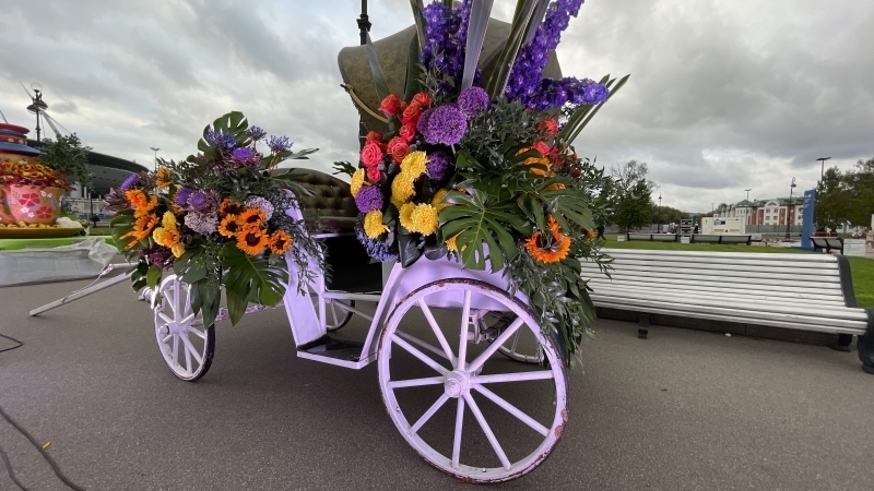 Фестиваль цветов подарил пасмурному Петербургу яркие краски и аромат лета