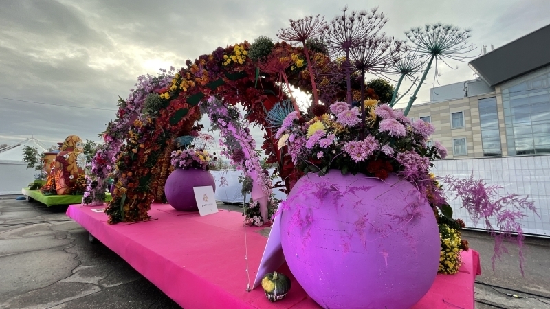 Фестиваль цветов подарил пасмурному Петербургу яркие краски и аромат лета