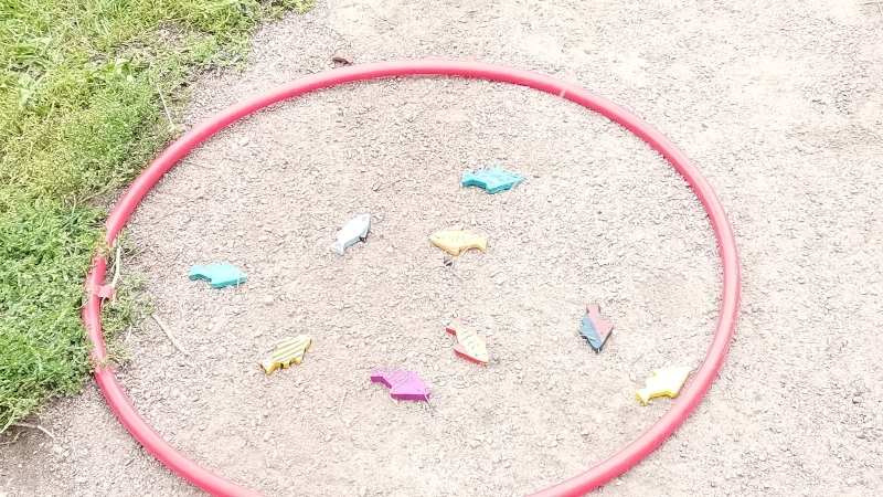 Галерная Гавань отметила 300-летие масштабным морским праздником