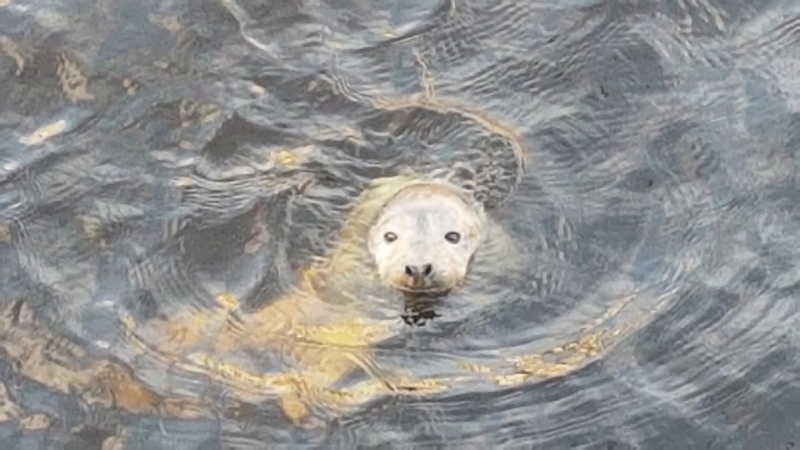 Главные новости 10 апреля в Петербурге для тех, кто все пропустил