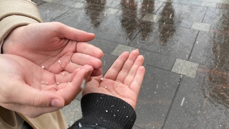 Главные новости 10 апреля в Петербурге для тех, кто все пропустил