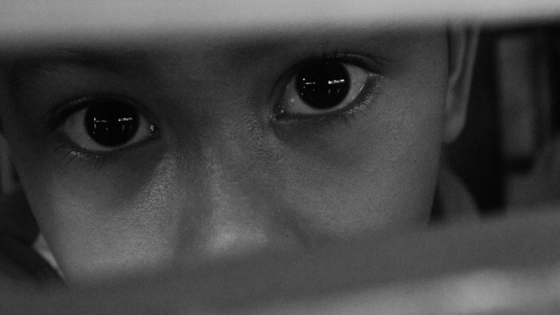 Главные новости 13 сентября в Петербурге для тех, кто все пропустил