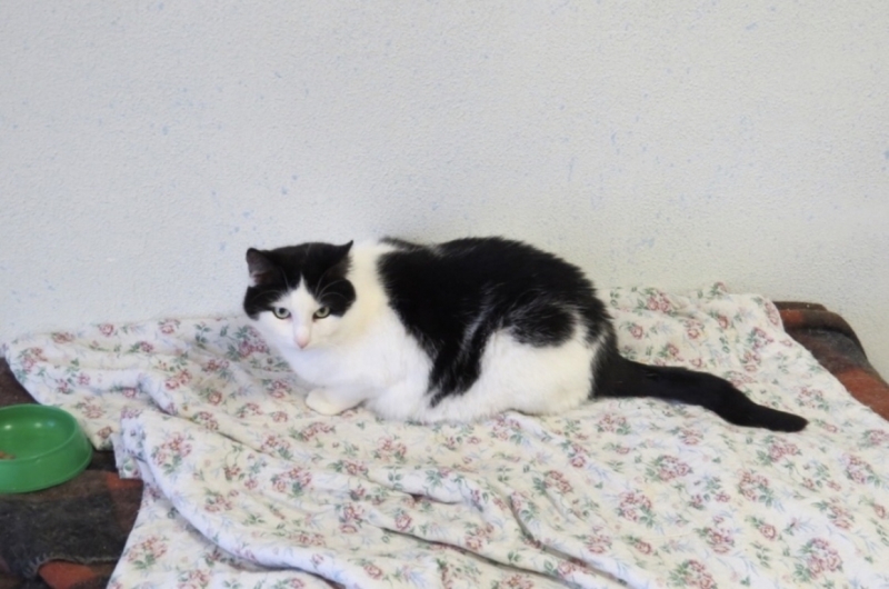 Главные новости 14 апреля в Петербурге для тех, кто все пропустил