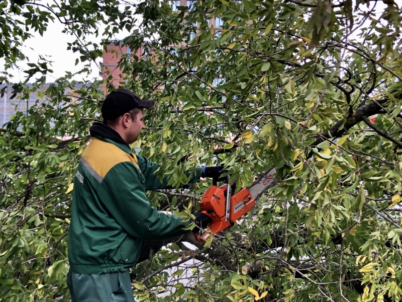Главные новости 14 сентября для тех, кто все пропустил