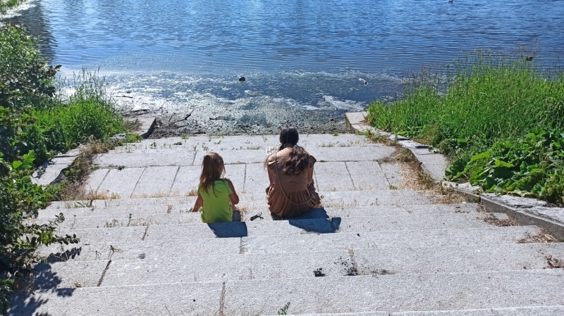 Главные новости 19 июня в Петербурге для тех, кто все пропустил