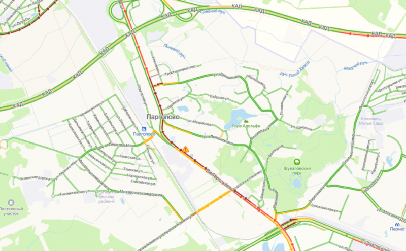 Главные новости 19 июня в Петербурге для тех, кто все пропустил