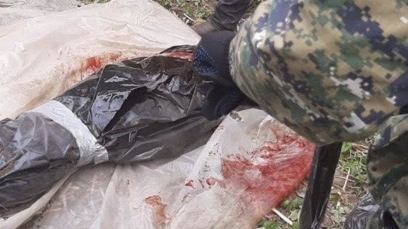 Главные новости 25 сентября в Петербурге для тех, кто все пропустил