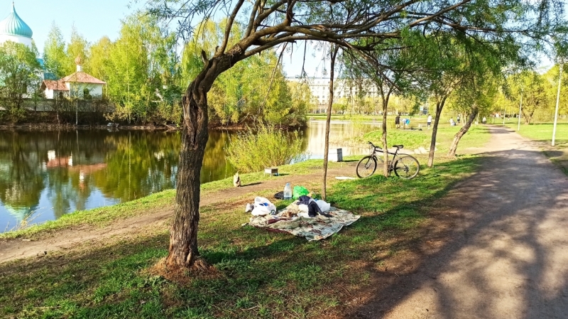 И нам, и вам: петербуржцы предложили способы сохранить парки для шашлычников